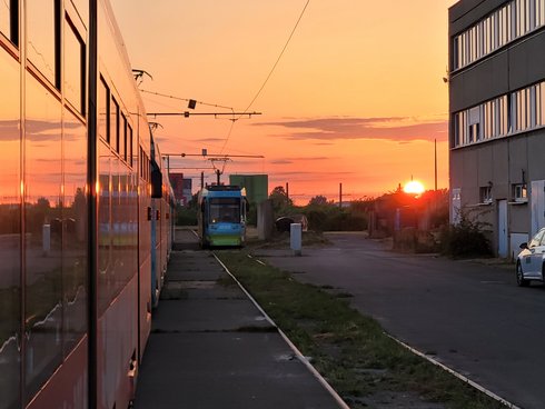 Konferenz 2022 Magdeburg